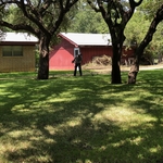 After Lawn care