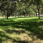 Before Lawncare