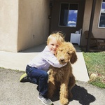 Happy New DogWatch Pups!