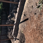Retaining Wall
