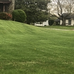 Lawn Care