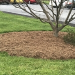 Lawn Care