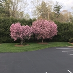 Lawn Care