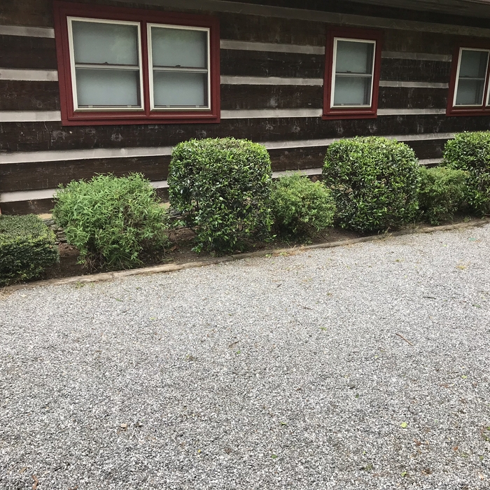 Lawn Care