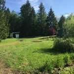 Arlington Pasture Restoration