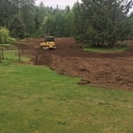 Pasture renovation