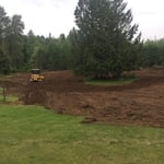 Pasture renovation