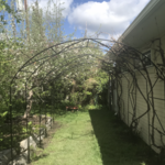 Arbors