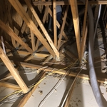 Contaminated insulation removal