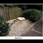 Stump grinding