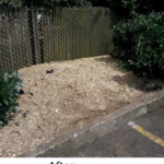 Stump grinding