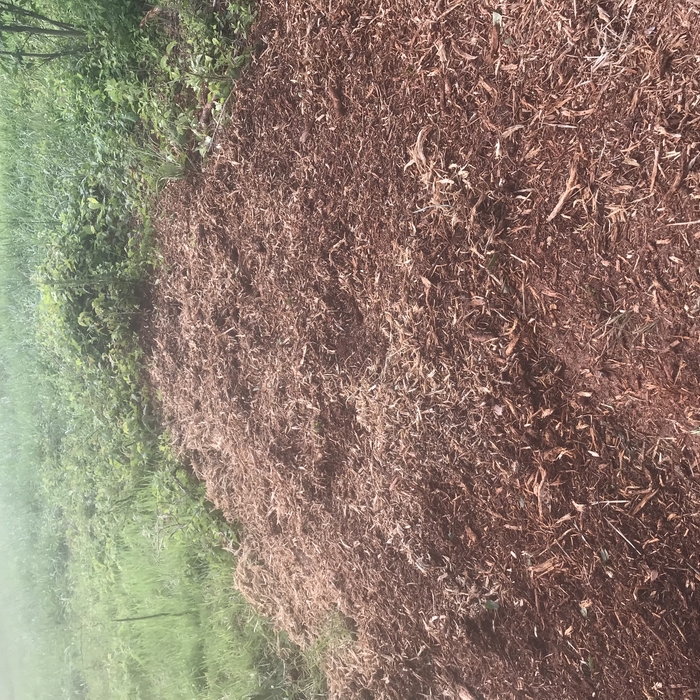 Stump grinding