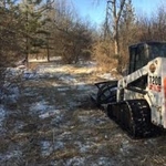 Brush Clearing