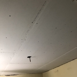 ceiling repair