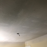 ceiling repair