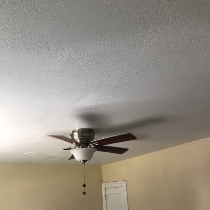 ceiling repair