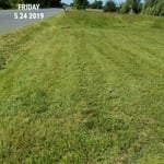 lawn maintenance