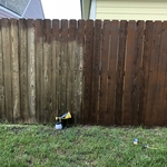 Back fence