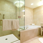 tub and shower with glass