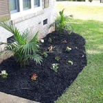 Front Black Mulch & Flower Install