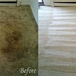 Before & After Carpet Cleaning