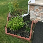 Before picture