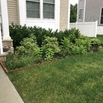 Before picture