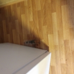 Move in project