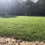 Complete lawn renovation