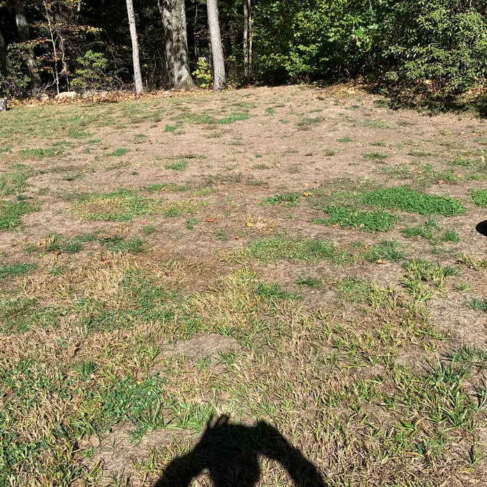 Lawn renovation