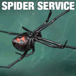 Spider service