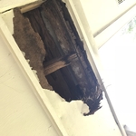 Damaged soffit caused by raccoon