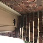 Damaged soffit caused by raccoon