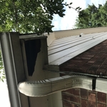 Damaged soffit caused by raccoon