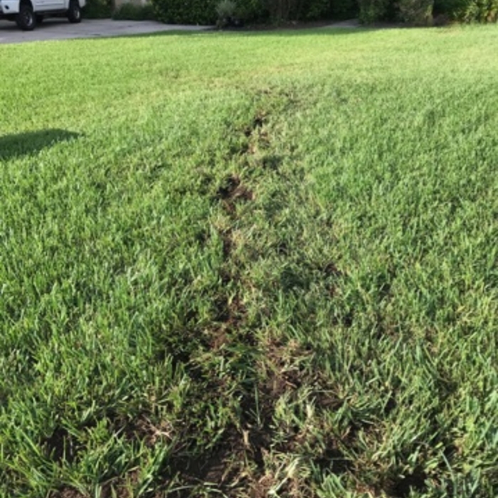 Filled in trench