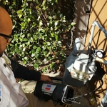 Checking the Gas Line