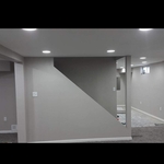 Fox basement