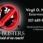 Bug Busters