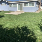 Back yard