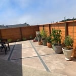 Back yard