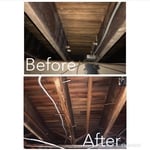 Mold Remediation