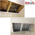 Mold Remediation
