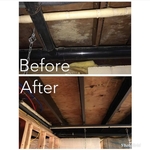 Mold Remediation