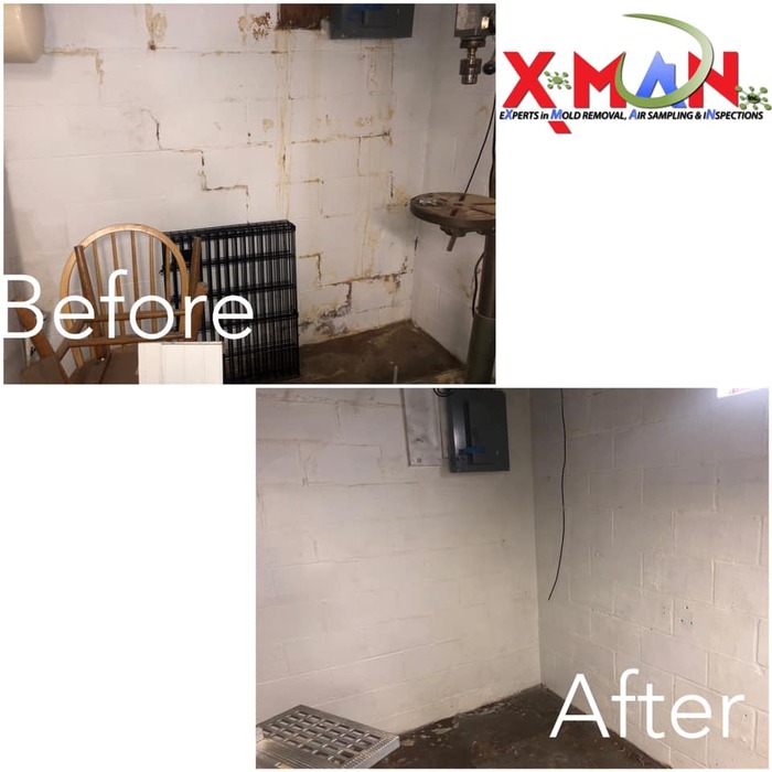 Mold Remediation