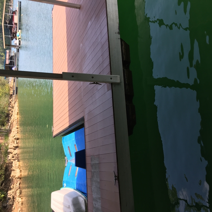 Stain boat dock