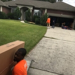 Moving Day