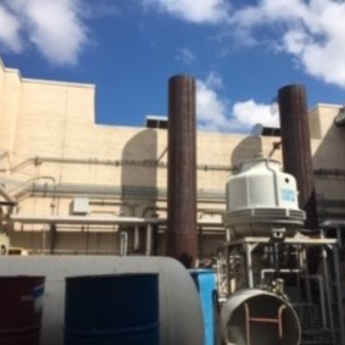 Commercial Pigeon Removal