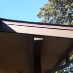 Fascia After