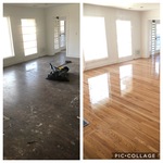 Ogden Restoration