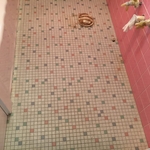 Bathroom Tile Wall Refinishing